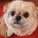 David Thomasson - @Betty2K1 - Twitter