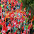 WorkersOrganise's profile image