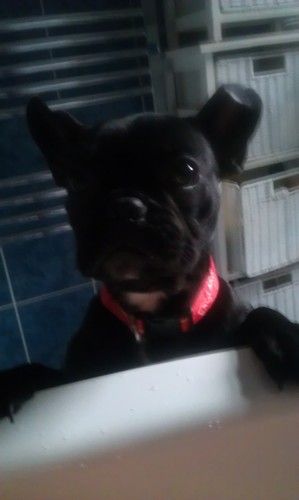 michele8375's profile picture. 