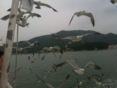 IT Manager(BW,EIS,SEM,Web),토야남편,서윤아빠