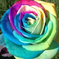 Andrew Shaw (@petshopboysfan) 's Twitter Profile Photo Andrew Shaw (@petshopboysfan) 's Twitter Profile Photo