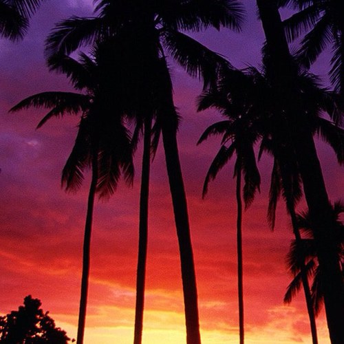 XxJoninasxX's profile picture. Nett,böse,verück ja eig. so wie man sein sollte