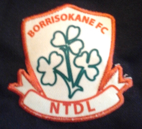 Junior soccer team playing in the 2nd Division of the North Tipperary and district League. Boy and Girls teams from under 8 up to under 19 in the NTSFL.