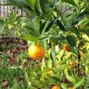 Jaclyn Ward - @jacsward - Twitter