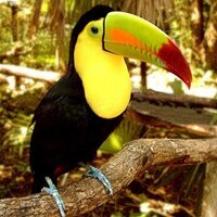 megabe2 (@megabe2) 's Twitter Profile