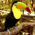 megabe2 (@megabe2) Twitter profile photo megabe2 (@megabe2) Twitter profile photo