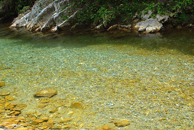 nagne59's profile picture. 하늘의 넘치는 축복을 이제야 느끼며 걸어갑니다