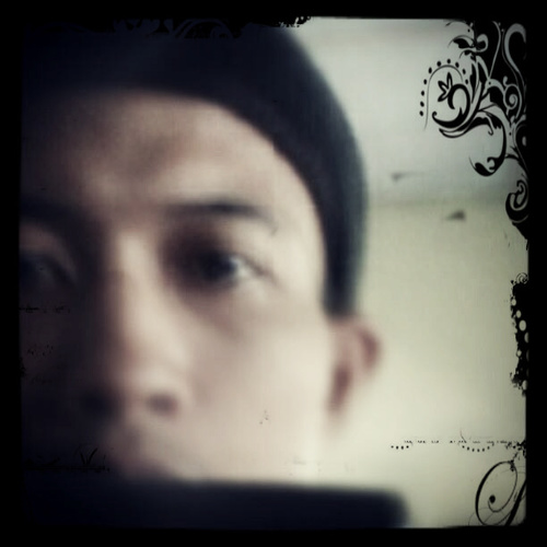 stay fight