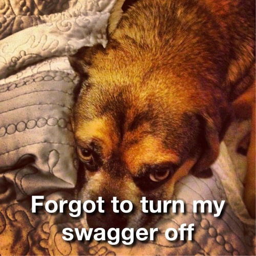 Jay2Dubs's profile picture. Die hard flyers fan!!