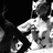 DanceCompanyGI's profile image