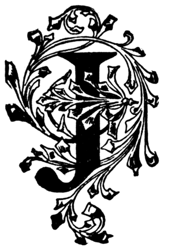 JLawliet27's profile picture. Internet Consultants