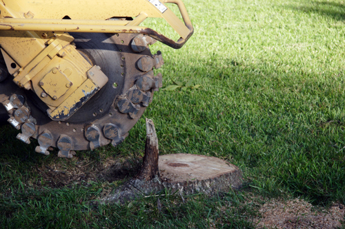 J J's Tree Removal is a tree company with 16 years experience.