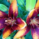 Kate Spring - @katespring04 - Twitter