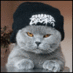 Filip Sawicki (@filip_sawicki) Twitter profile photo Filip Sawicki (@filip_sawicki) Twitter profile photo
