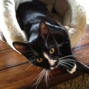 Staci King - @sking921 - Twitter