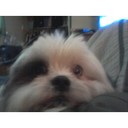 Debbie McClain - @dmcclain7 - Twitter