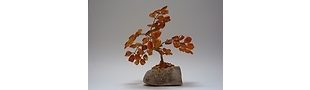 Books, Antiques, Jewellery, Accessories