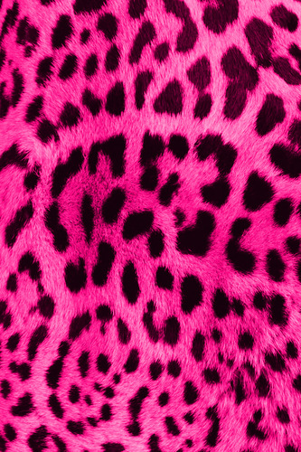 PinkleopardSEO's profile picture. SEO, SEM, PPC. http://t.co/H5OLkgktJM is proud to be Manchester, UK based.