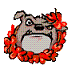 Gravy_Enthusiast (@alohadawg) Twitter profile photo Gravy_Enthusiast (@alohadawg) Twitter profile photo