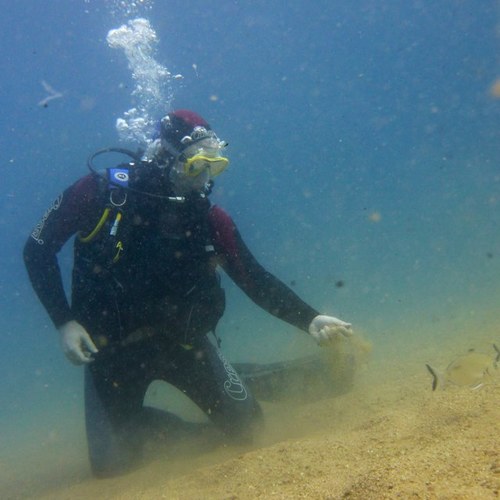 BlackyESP's profile picture. 