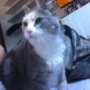 carson mitchell - @mitcar1996 - Twitter