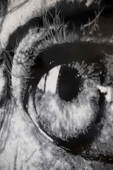 artist, photographer