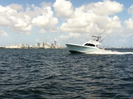 Miami Fishing Charters Deep-Sea Sport fish Adventure in Coconut Grove! 4-6-8 hour charters for deep sea fishing in Miami. A/C,  professional staff, free parking