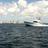 MIAMI_FISHING's profile image