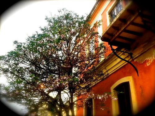 Tweets from and about my special adopted home - Pondicherry, India! With a special focus on the Sri Aurobindo Ashram and Auroville communities.