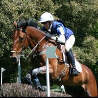 Cutty (@sarahcuttycohen) 's Twitter Profile