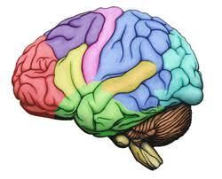 So CA Tri-Counties Branch is one of 44 branches of the IDA, the premier source for information about dyslexia. Want to learn?  Want to share? Have questions?