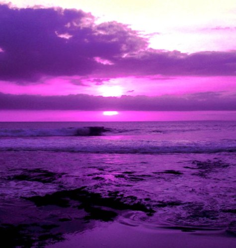 followmepurple's profile picture. 