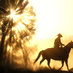 Arb Cowboy (@arbcowboy) Twitter profile photo Arb Cowboy (@arbcowboy) Twitter profile photo