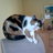 elisabeth2105's profile image