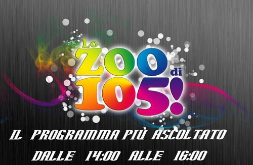 105ZOOBEST
ANCHE  SU FACEBOOK