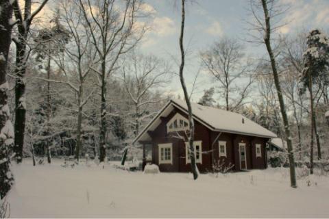 hanswagemaker's profile picture. Aardige kerel van 56 jaar en geniet van het leven! Ik woon heerlijk in de bossen van Bennekom samen met Els. Werkzaam bij de Politie Amsterdam.