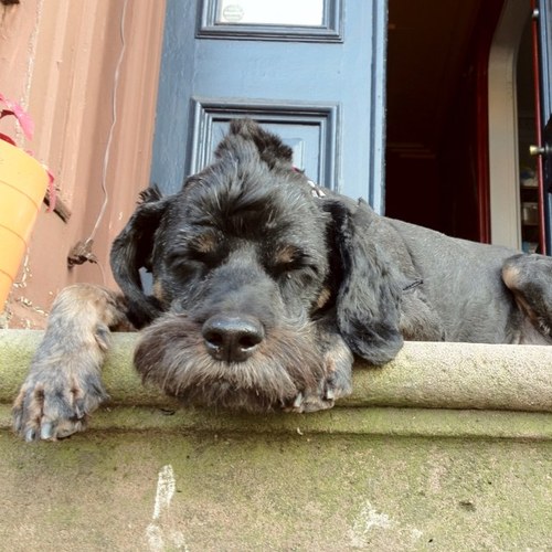 Brickcitylove's profile picture. Renovating a 1880's rowhome in downtown Newark & exploring the neighborhood.