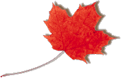 What you didn't know about being Canadian