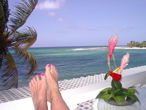 josurvivor's profile picture. love the beach, travel, good books, the Red Sox, and #JudyWorld