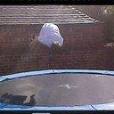 Joel Raines - @Joeltheoffical - Twitter