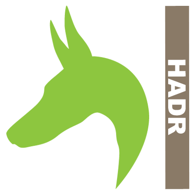 The Houston Area Doberman Rescue, Inc. (HADR) is a 501(c)(3) nonprofit corporation and has NO paid volunteers; donations may be tax deductible.