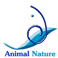 Animal Nature (@animalnaturees) 's Twitter Profile