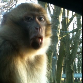 1Jellie's profile picture. 