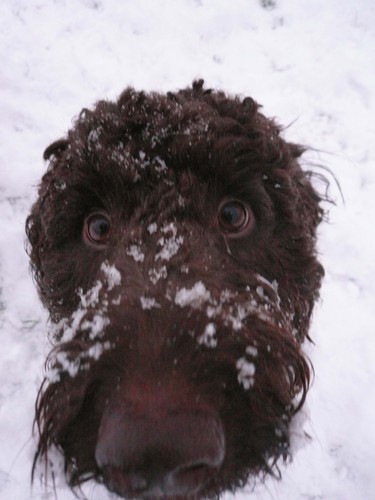 andy_keenan's profile picture. Composer/ Orchestrator/ Producer/Score Editor/Saxophonist/Clarinettist / Dog walker