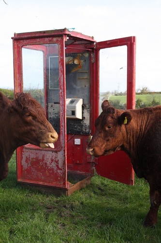 Our 2020 Show takes place on Sat 18th July. A great family day out. Adm £10. Under 16s go free #castlewellanshow
