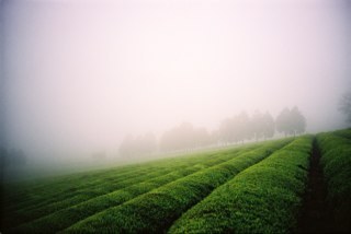 dreamintraveler's profile picture. 회사를 벗어나 자유로운 삶을 꿈꾸는 주식 정보 수집가 ::::: 증권사 투자권유대행인 / 포토그래퍼 / 타로카드 상담사 /// 타로카드 및 금융 상담문의 DM https://t.co/smH8ZAFi5Y