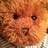 Jefgingerbear's profile image