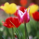 Gail Escobar - @Gailee49 - Twitter