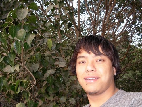 Prawesh Lama  Profile
