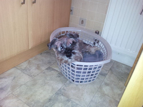 lynnem87's profile picture. 